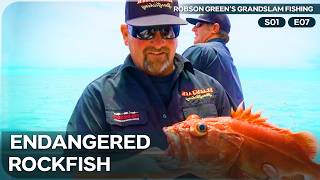 Hooked a Rare Monster | Robson Green's Grandslam Fishing Season 1 Episode 7