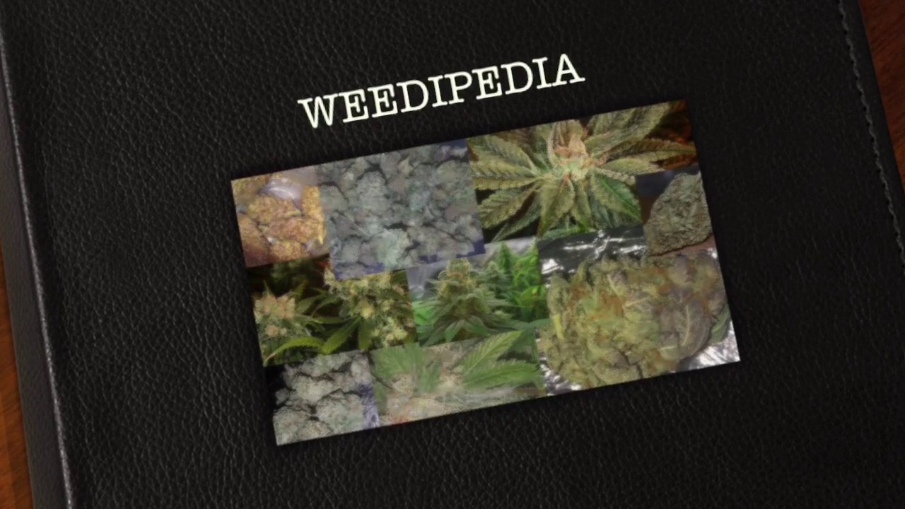 TOP 10 Weed Strains to... STAY ACTIVE!