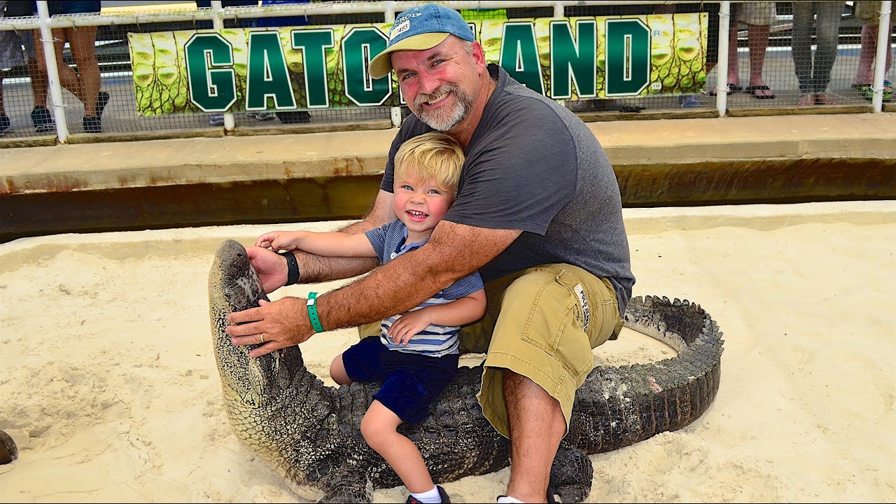 canon definicion TODDLER WRESTLES GATOR!