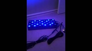 Reef Angel Controlling A Rapidled Wireless