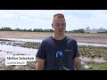 Unwetter treffen Gemüsebauern: Ernteausfall von 100 Prozent | BR24