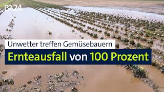 Unwetter treffen Gemüsebauern: Ernteausfall von 100 Prozent | BR24