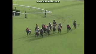 第23回 京都新聞杯 1975年 優勝レイ 第23回 京都新聞杯 1975年 優勝レイ 京都新闻杯- 维基百科，自由的百科全书
