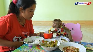 Amazing Monkey | Cutie Baby Luna Happy Joining Lunch With Mom
