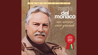 Un amore così grande