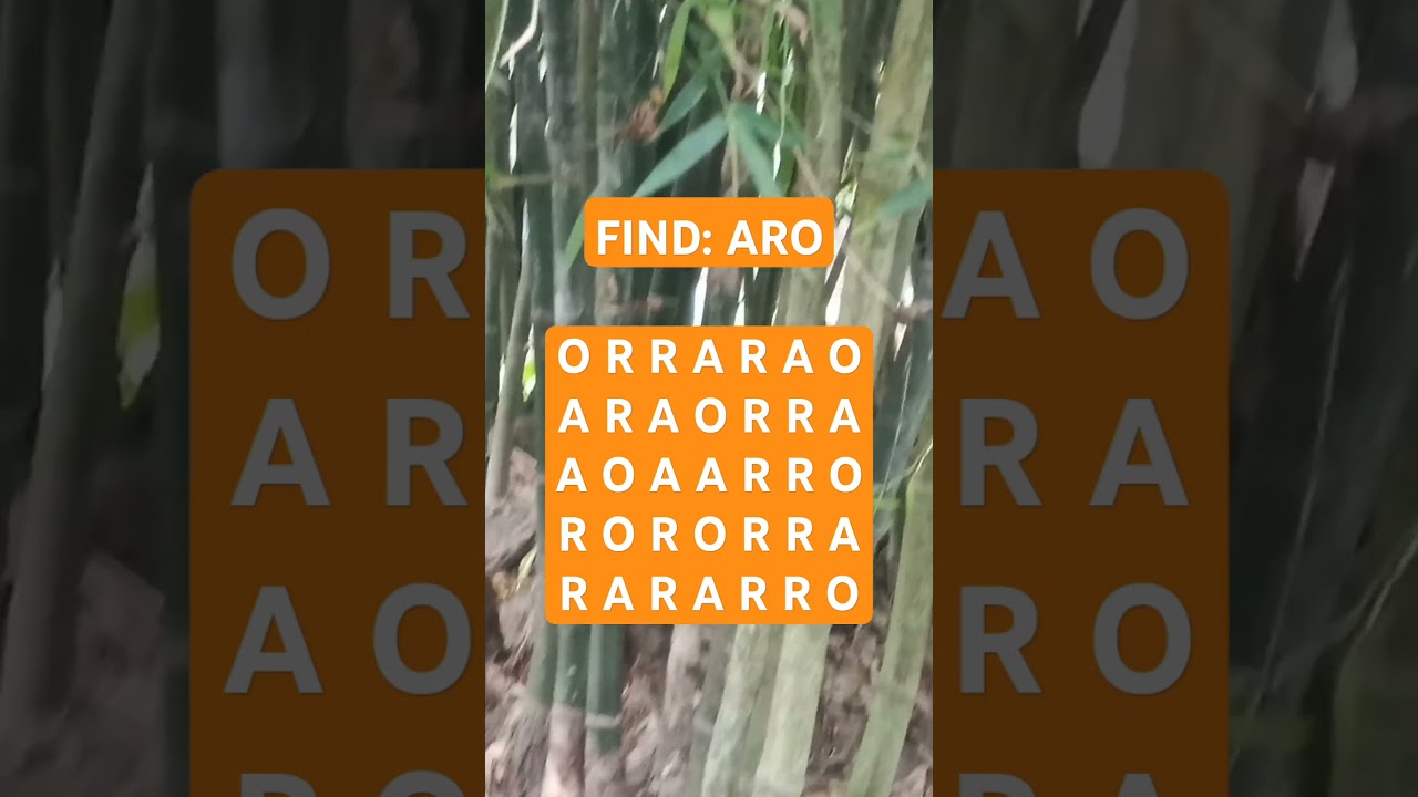 Observation Visual Test: 5 Seconds ForYou To Spot ARO. Try Your Skills! 