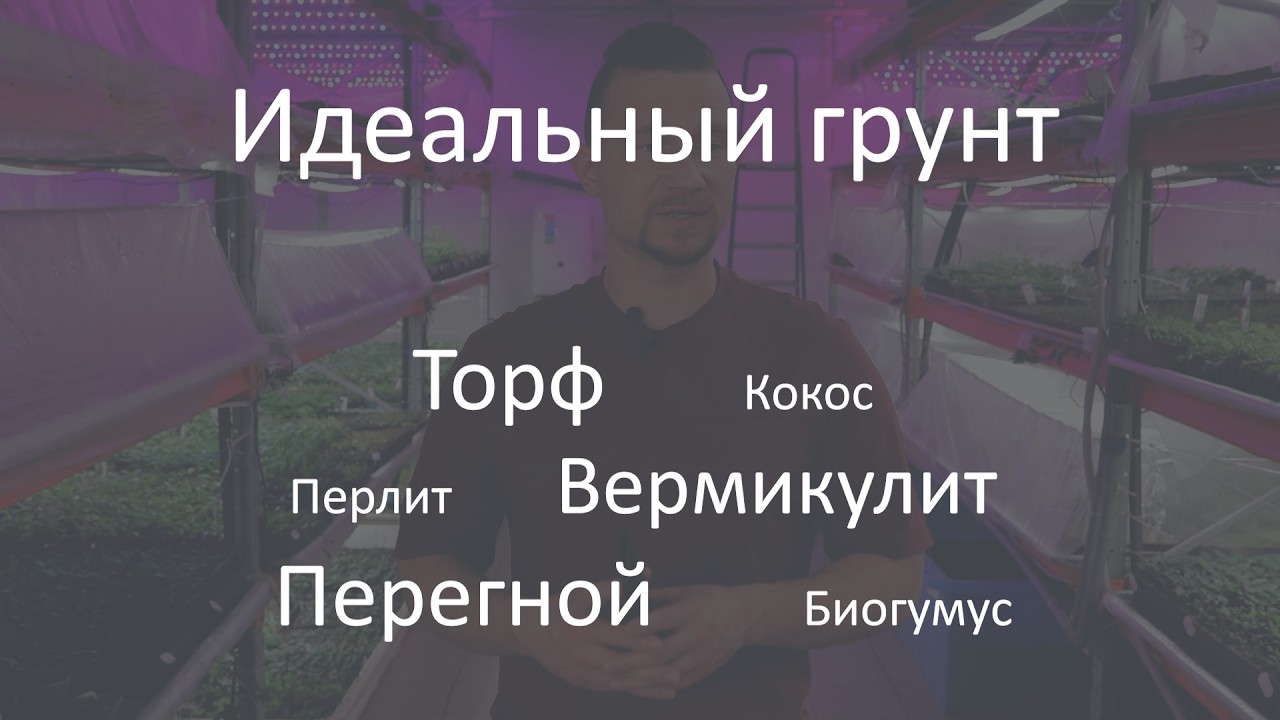 Торф, кокос, перлит, перегной. Субстраты для растений