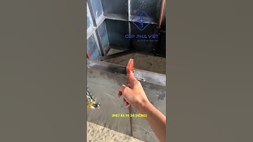 Yếu Tố Quan Trọng Của Ván Khuôn Hố Ga: Hướng Dẫn Chi Tiết | CỐP PHA VIỆT