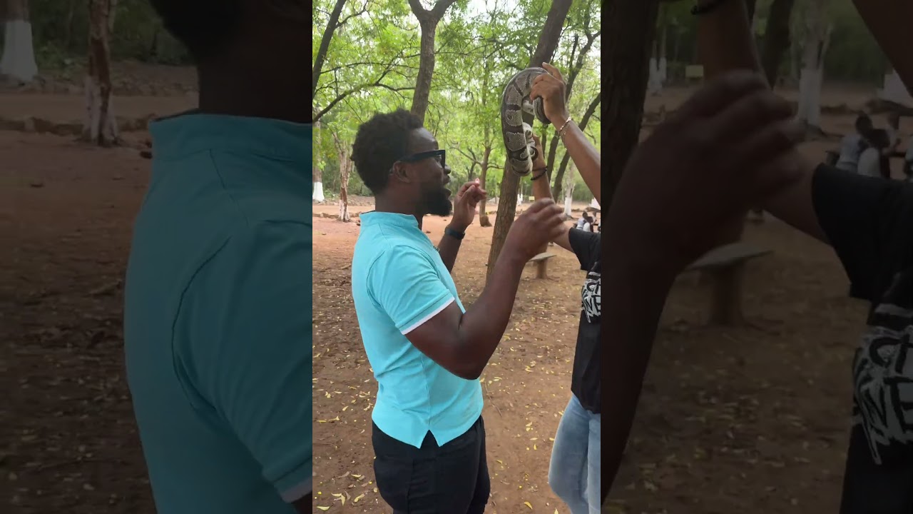 #explorepage #funnyvideos #fypage #viralvideo #shortsreels #positivebirth #nursing #comedy #content