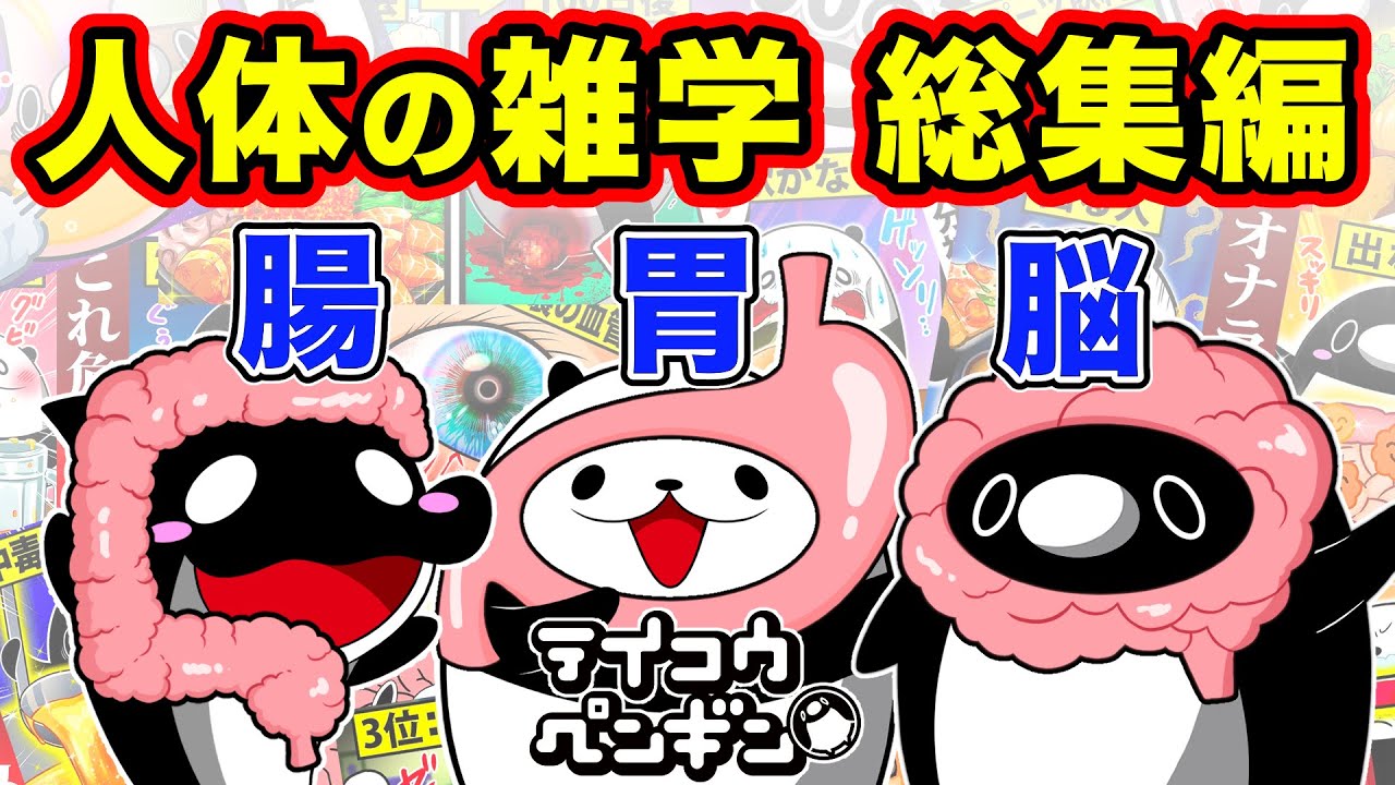 テイコウペンギン 人体の雑学 13選【総集編】