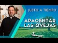 Apacentar las ovejas - Padre Pedro Justo Berrío