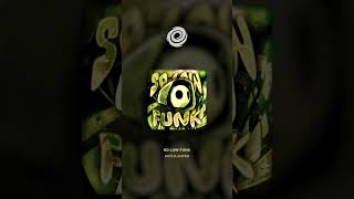 Song: SO LOW FUNK @thevoideffect