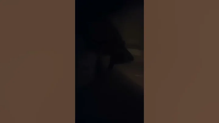 Robert