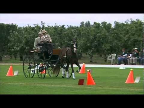 15C Leslie Berndl Shady Oaks CDE 2010 Preliminary ...