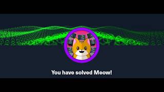 Introduction + Hack The Box - Meow