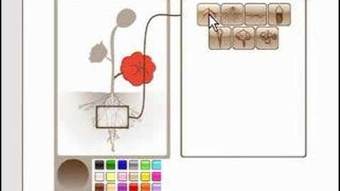 Amazanga interface test