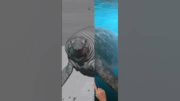 shastosaurus making of #dinosaurs #plesiosaurus #mosasaurus  #jurassicworld #monster #ichthyosaurus