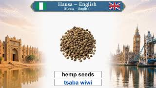 Hausa — Ingilishi Hausa – English Lesson 22： Nuts and Seeds — goro da iri