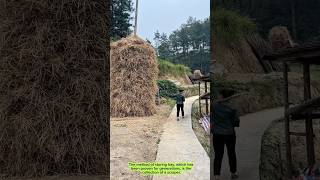 How to collect a real scratch: an ancient method of storing hay that can withstand rain and wind