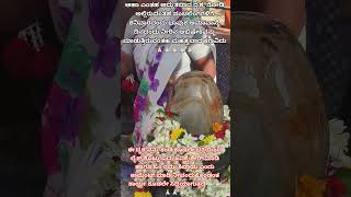 #శివకేశవులు #mahalasanarayani #mohiniavatar #fridaygoddess #తెలుగుభక్తి #goatemples #khandoba #art