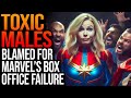 Toxic Male Fans Blamed for &#39;The Marvels&#39; Box Office FAILURE