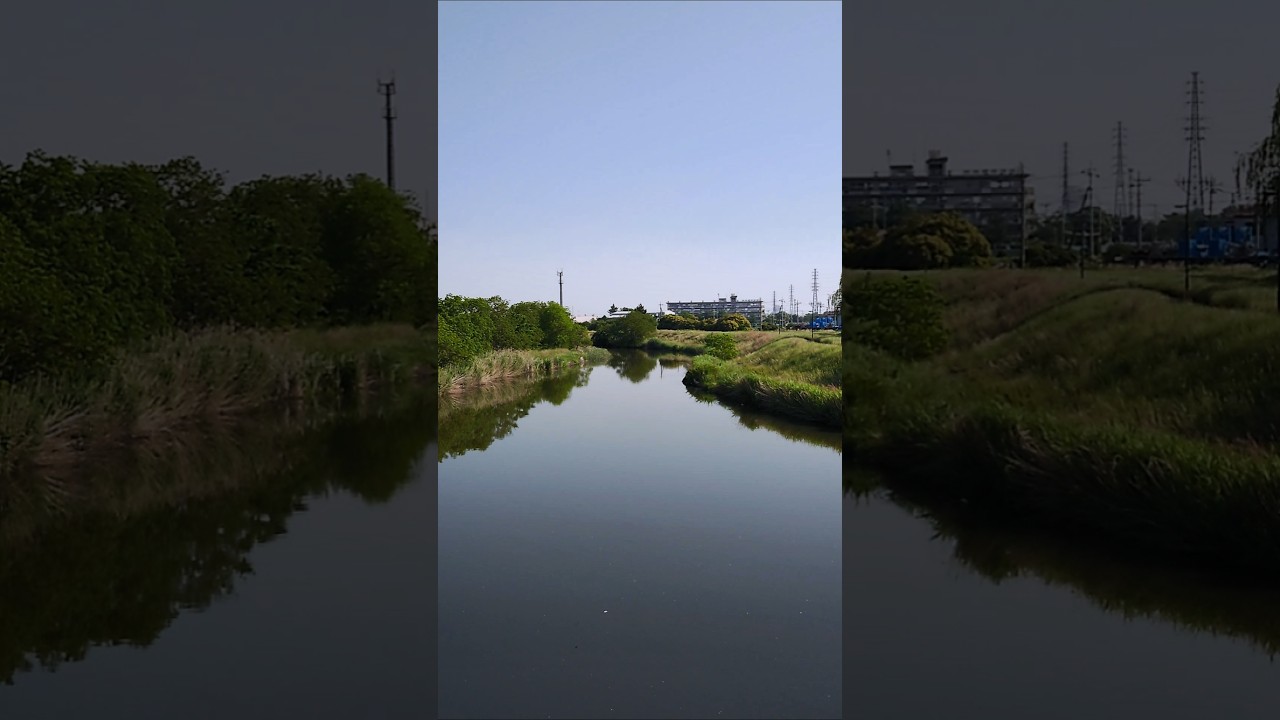 本日の綾瀬川。5/19-4