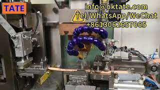 Fully Automatic Elec Resistance Welding Machine for Copper Braided Wire Welding And Cutting Machine Wealth