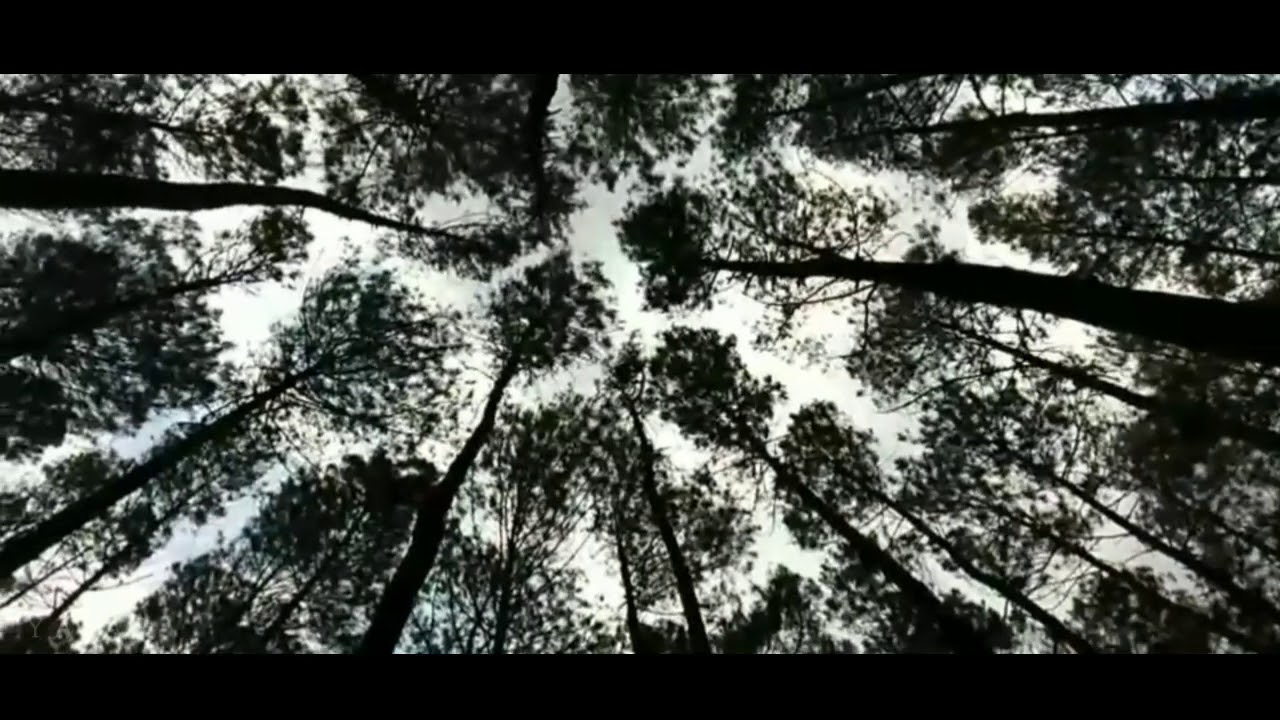 Jangan ko pergi_ ayu puspa dan putu bahagiana (cover by frida )