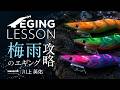 【梅雨エギング】真水は本当にNG？雨でもアオリイカは釣れる！梅雨時期の圧倒的チャンスと釣れるエギの選び方【エギングレッスン】