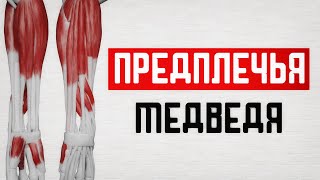 Как накачать большие предплечья! Можно даже дома!