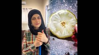 🤣👌👌👌مجموعة مقاطع مجنونة من وجهة نظر 2025 يجب مشاهدتها #فكاهة #fypシ #pov #fyp #foryou 😍😜 