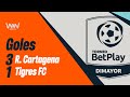 Real Cartagena vs. Tigres (goles) | Torneo BetPlay DImayor 2024-2 | Fecha 16
