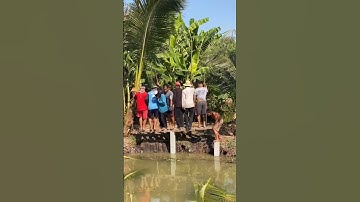 Ép cọc bằng máy cơm #shorts