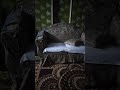 بحب الاطفال البنات وكمان اولاد يارب يبارك فيهم ويحفظهم يارب 