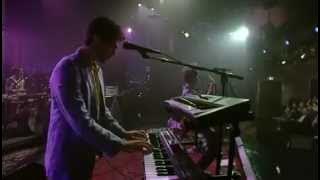 MGMT Live on David Letterman FULL SHOW