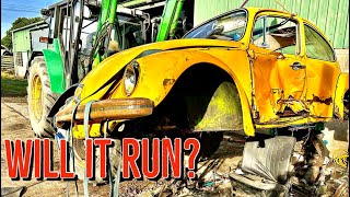 VW Beetle scrapyard find Break up Will it run?