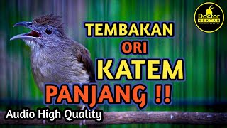 Download Lagu KAPAS TEMBAK ORI TEMBAKAN PANJANG DENGAN BESETAN MEWAH COCOK UNTUK MASTERAN MURAI BATU MEDAN MP3