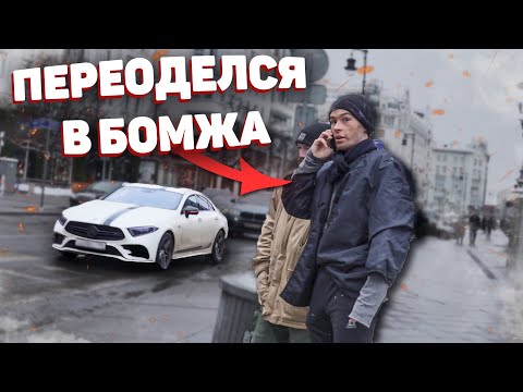 Видео: Бездомный мужик в приюте в Хьюстоне спас Харви, чтобы снова сделать их милыми