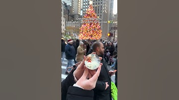 This is the cutest thing I got 🥹Link in bio #christmas #NYC #dogmom #ornaments #memories