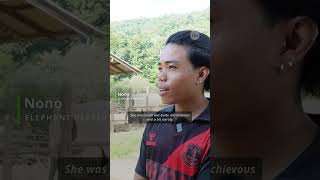 Myanmar Exile Tends Elephants In Thailand  Radio Free Asia rfa