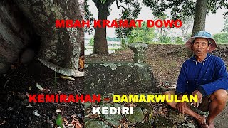 MBAH KRAMAT DOWO   KEMIRAHAN   DAMARWULAN   KEPUNG   KEDIRI