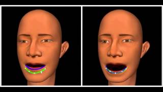 Celebrity SIGGRAPH 2010:  Interactive Manipulation of 3D Facial Expressions Using Facial Priors Net Worth
