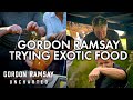 Gordon Ramsay Trying Exotic Food | Part One | Gordon Ramsay: Uncharted