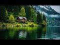 Beautiful Relaxing Music - Stop Overthinking, Stress Relief Music, Sleep Music, Calming Music #6