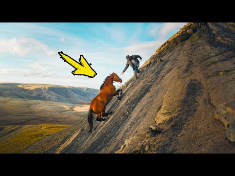 Мужчина пытается спасти лошадь на обрыве. То, что произошло дальше, не для слабонервных!