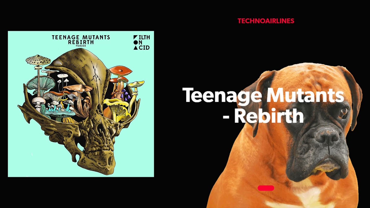 在 YouTube 上觀看「Teenage Mutants - Rebirth」