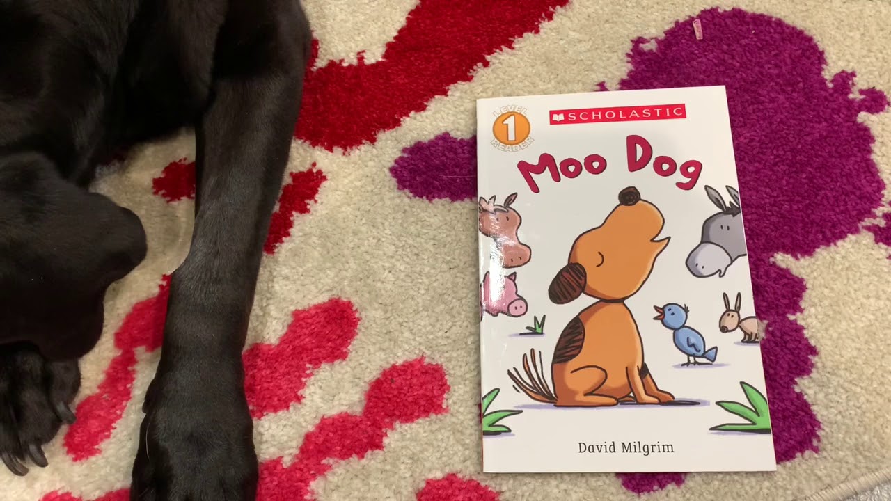 (AR) Guess where we are reading Moo Dog 🐶 by David Milgrim?