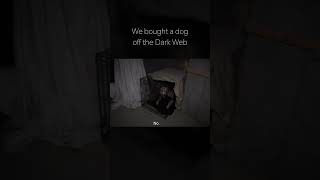 We Bought a dog off the dark web