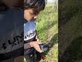 BIRD IN THE PARK #short #birds