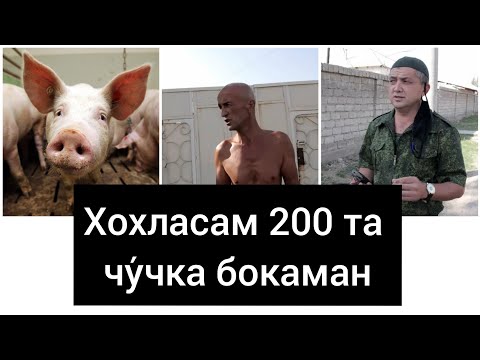 Video: Yovvoyi sincapga g'amxo'rlik qilishning 4 usuli